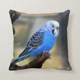 Cojín Decorativo Parakeet azul del loro de Budgie
