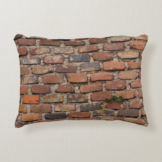 Cojín Decorativo Pared de ladrillo marrón (Anverso)