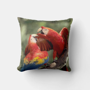 Cojín Decorativo Pareja de Guacamayos Escarlatas