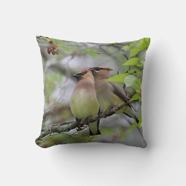 Cojín Decorativo Pares de Waxwings de cedro (Anverso)