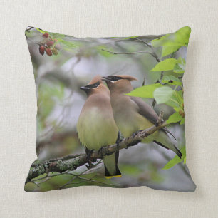 Cojín Decorativo Pares de Waxwings de cedro
