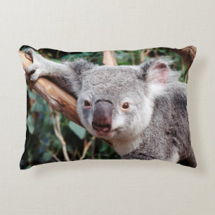 Cojín Decorativo Parque de Vida Silvestre Featherdale, Osos Koala