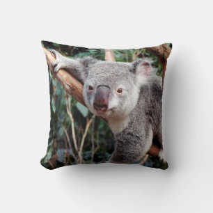 Cojín Decorativo Parque de Vida Silvestre Featherdale, Osos Koala