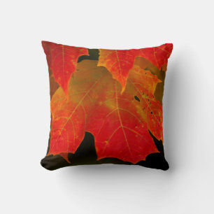Cojín Decorativo Parque Estatal Itasca, Colores de Otoño 2