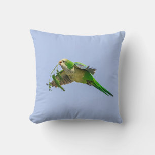 Cojín Decorativo Parque Monje en el Valle del Río Grande