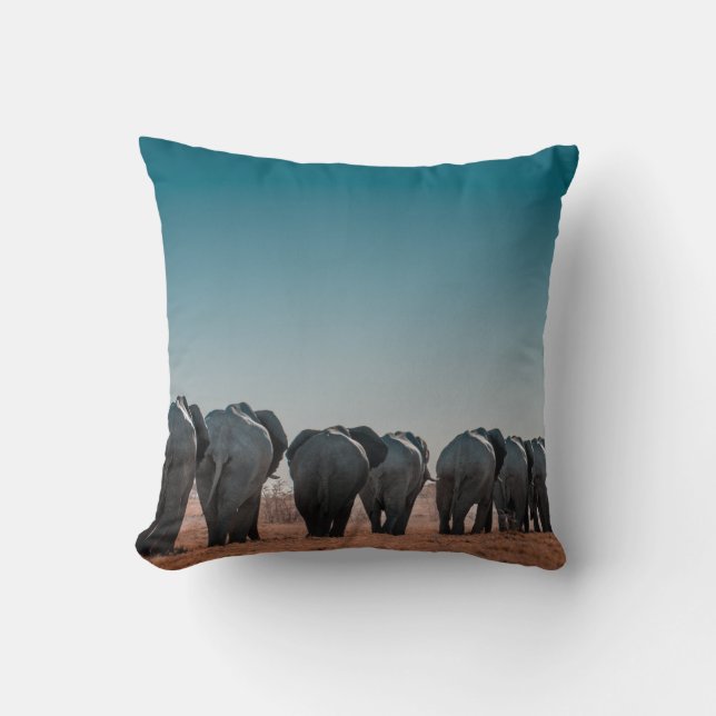 COJÍN DECORATIVO PARQUE NACIONAL DE ETOSHA (Anverso)
