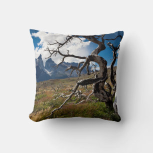 Cojín Decorativo Parque Nacional Torres del Paine, árboles dañados
