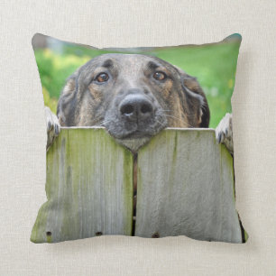 Cojín Decorativo Pastor alemán mirando la cerca