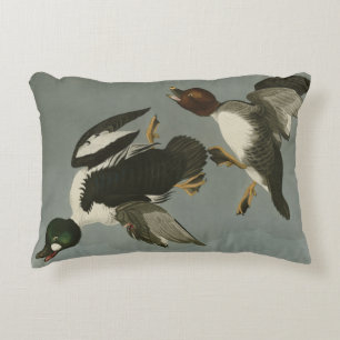 Cojín Decorativo Pato de ojos dorados - de los pájaros de América d