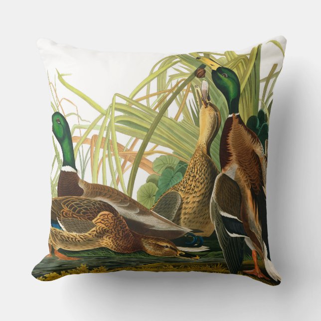 Cojín Decorativo Pato Mallard de John James Audubon (Anverso)