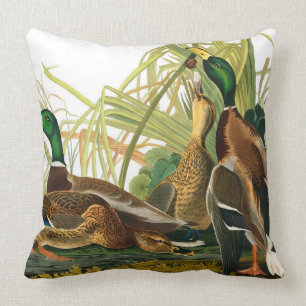Cojín Decorativo Pato Mallard de John James Audubon