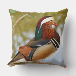 Cojín Decorativo Pato Mandarin