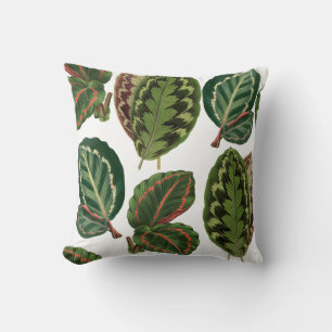 Cojín Decorativo Patrón de la planta de la selva urbana