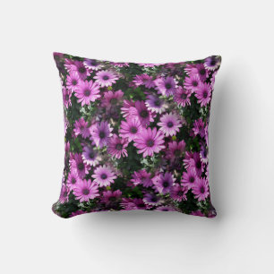Cojín Decorativo Patrón natural de las flores de margarita africana
