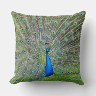 Cojín Decorativo Pavo con cola abierta