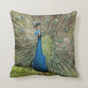 Cojín Decorativo pavo real