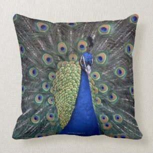 Cojín Decorativo Pavo real