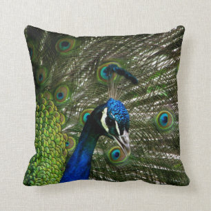 Cojín Decorativo Pavo real