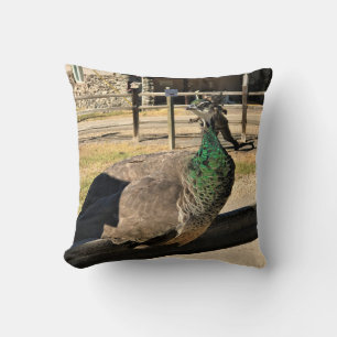 Cojín Decorativo Pavo real en una cerca, Idaho