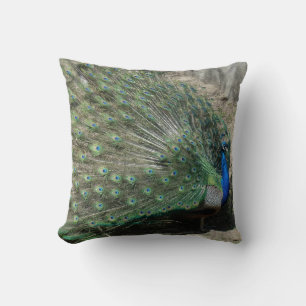 Cojín Decorativo Pavo Real Hermoso