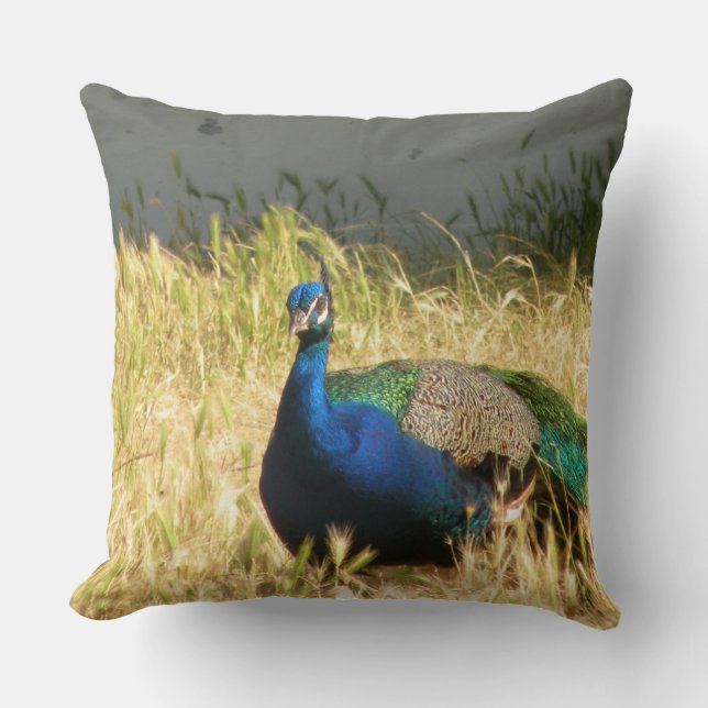 Cojín Decorativo Peacock (Anverso)