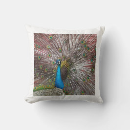 Cojín Decorativo Peacock