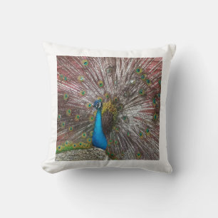 Cojín Decorativo Peacock
