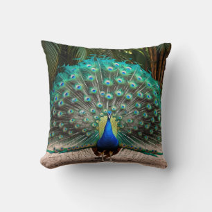Cojín Decorativo Peacock Feather Fanning