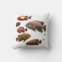peces multicolor