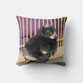 Cojín Decorativo Peep
