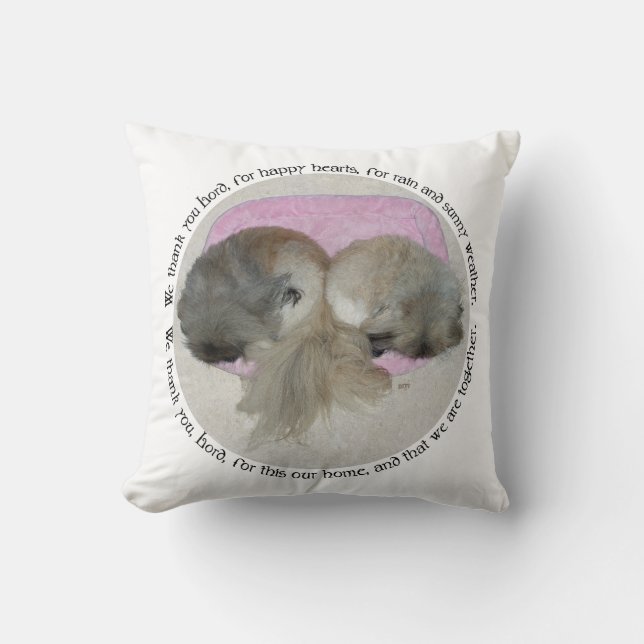 Cojín decorativo Pekingese Juntos (Anverso)