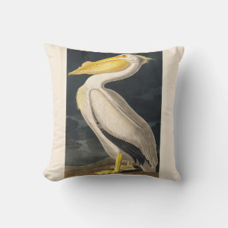 Cojín Decorativo Pelícano blanco auduo-americano en reposo