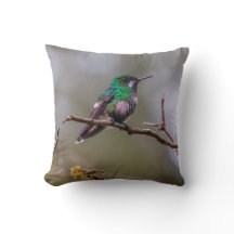 Pequeño colibrí verde