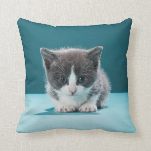Cojín Decorativo Pequeño gatito