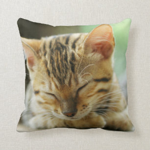 Cojín Decorativo Pequeño gatito del bebé el dormir