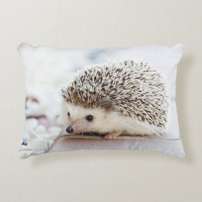 Cojín Decorativo Pequeño Hedgehog (Anverso)