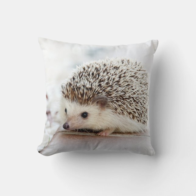 Cojín Decorativo Pequeño Hedgehog (Anverso)
