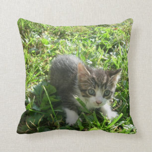 Cojín Decorativo Pequeño muchacho gris