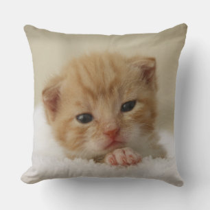 Cojín Decorativo Pequeño Naranja Kitten
