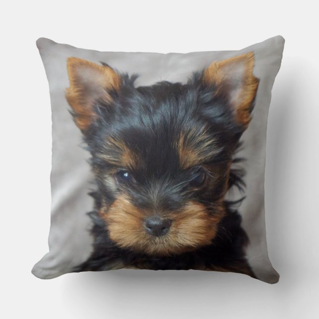 Cojín Decorativo Pequeño yorkie (Anverso)