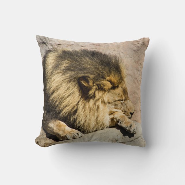 Cojín decorativo perezoso del león (Anverso)