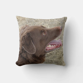 Cojín Decorativo Perfil de Flatlandersam P4