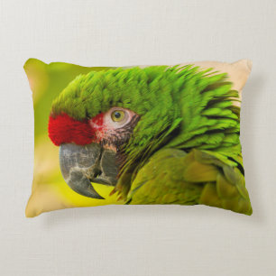 Cojín Decorativo Perfil de guacamayo en el zoológico de Santa Bárba