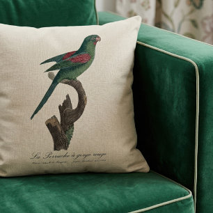 Cojín Decorativo Perico Catrín, Brotogeris jugularis