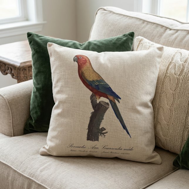 Cojín Decorativo Perico Sol, Aratinga Solstitialis (Sun Parakeet Male, Aratinga Solstitialis. Throw Pillow)