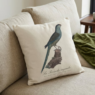 Cojín Decorativo Perico Terrestre o Perico de Pantano, Pezoporus Wa