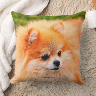 Cojín Decorativo Perrito Adorable Pomerania