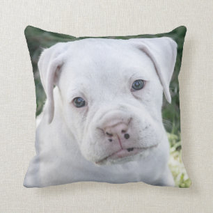 Cojín Decorativo Perrito blanco del boxeador - foto de encargo