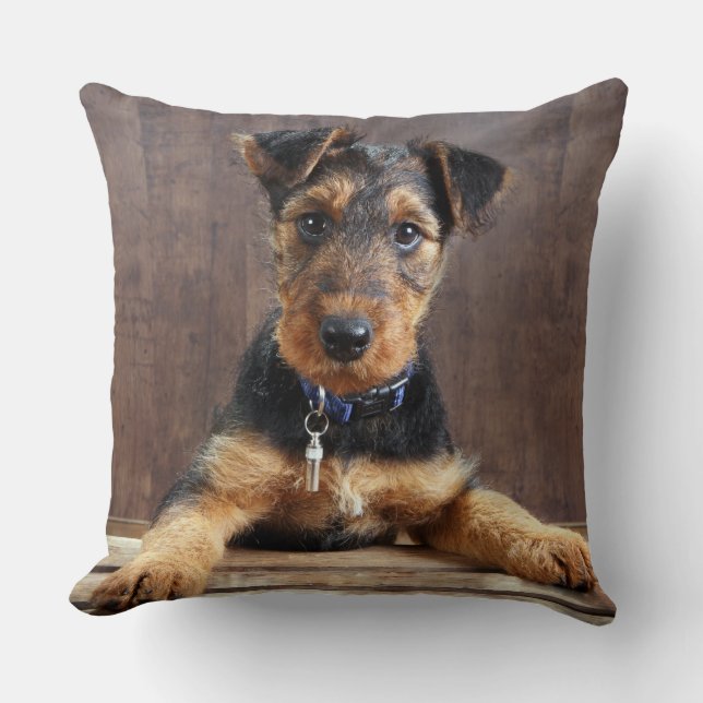 Cojín Decorativo Perrito de Airedale (Anverso)