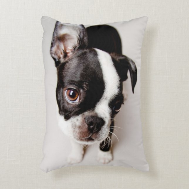 Cojín Decorativo Perrito de Edison Boston Terrier (Frente (Vertical))